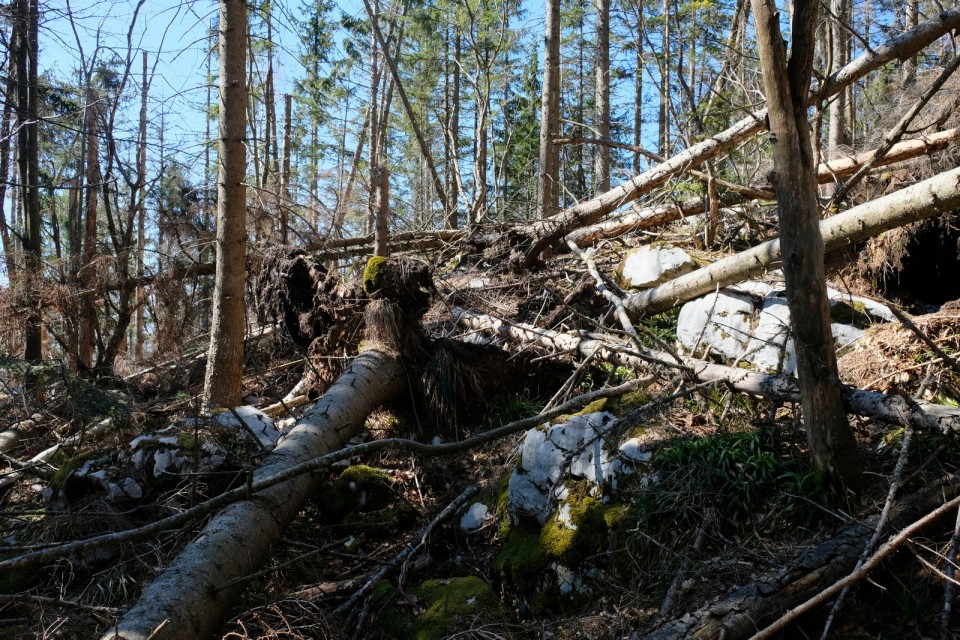 2019_03_31 Fridrihštajn in Mestni vrh - foto povečava