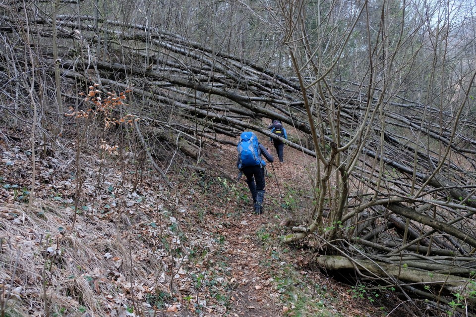 2019_04_02 Roviški vrh in Zasavska Sv. gora - foto povečava