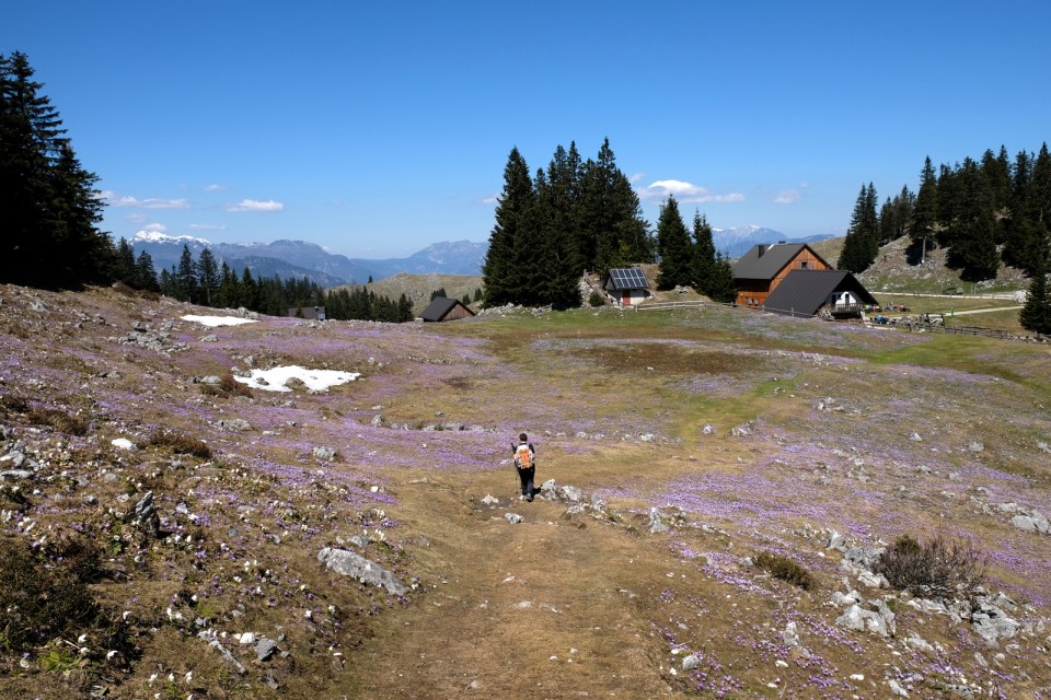 2019_04_21 Vivodnik - Menina planina - foto povečava