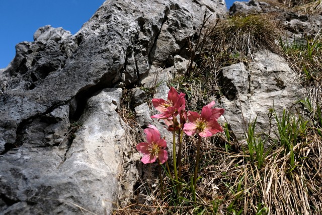 2019_05_02 Uršlja gora - foto