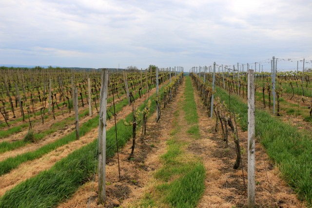2019_05_06 Češka - 1 dan - foto