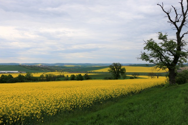 2019_05_06 Češka - 1 dan - foto