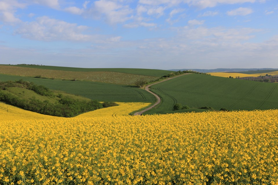 2019_05_07 Češka 2. dan - foto povečava