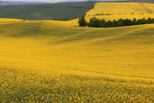 2019_05_07 Češka 2. dan - foto