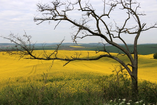 2019_05_07 Češka 2. dan - foto