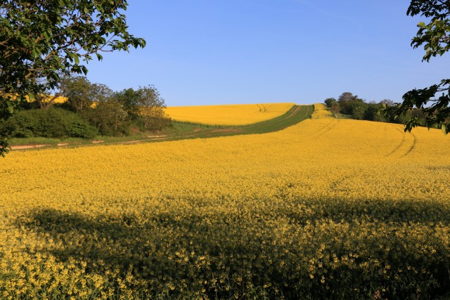 2019_05_08 Češka - 3 dan  - foto