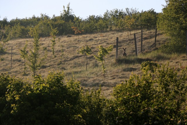 2019_05_08 Češka - 3 dan  - foto