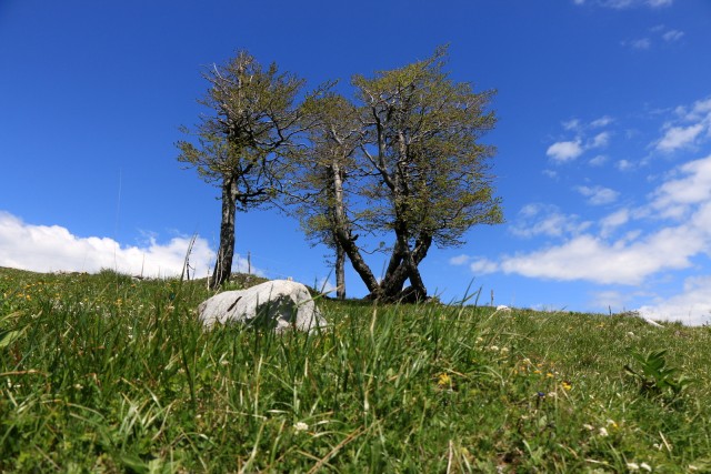 2019_06_01 Golica in Struška - foto