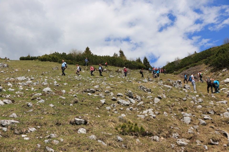 2019_06_01 Golica in Struška - foto povečava