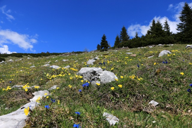 2019_06_01 Golica in Struška - foto