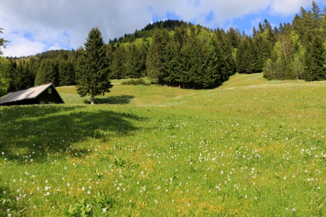 2019_06_01 Golica in Struška - foto