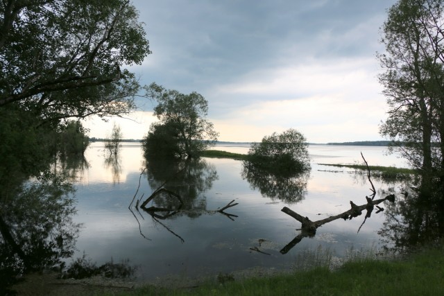 2019_06_05 Hrvaška 1. dan - Lonjsko polje - foto