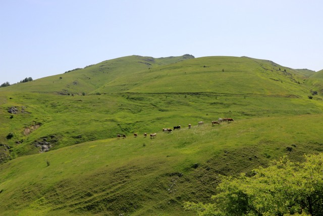 2019_06_09 5. dan BiH - foto