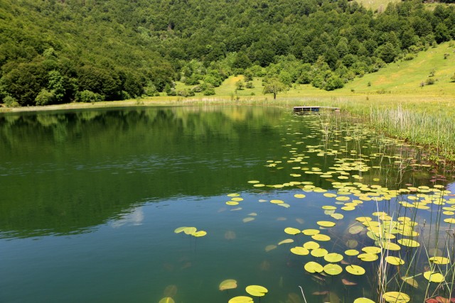 2019_06_09 5. dan BiH - foto