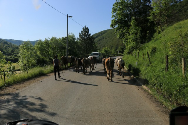 2019_06_10 6. dan - BiH in Črna gora - foto