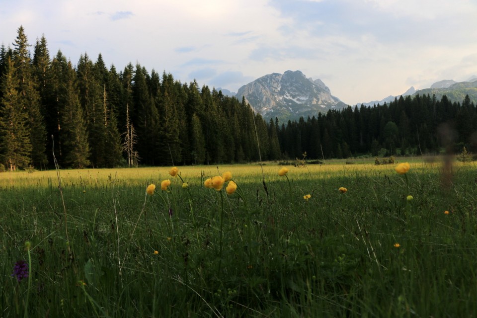 2019_06_10 6. dan - BiH in Črna gora - foto povečava