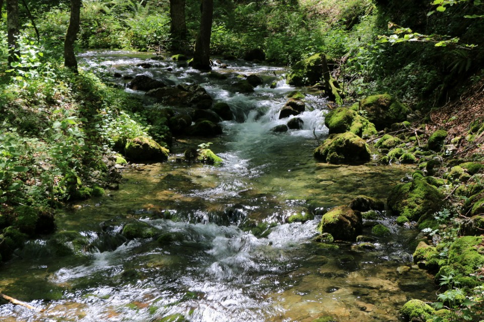 2019_06_11 -  7. dan - Črna gora - foto povečava