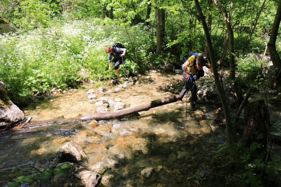 2019_06_11 -  7. dan - Črna gora - foto povečava