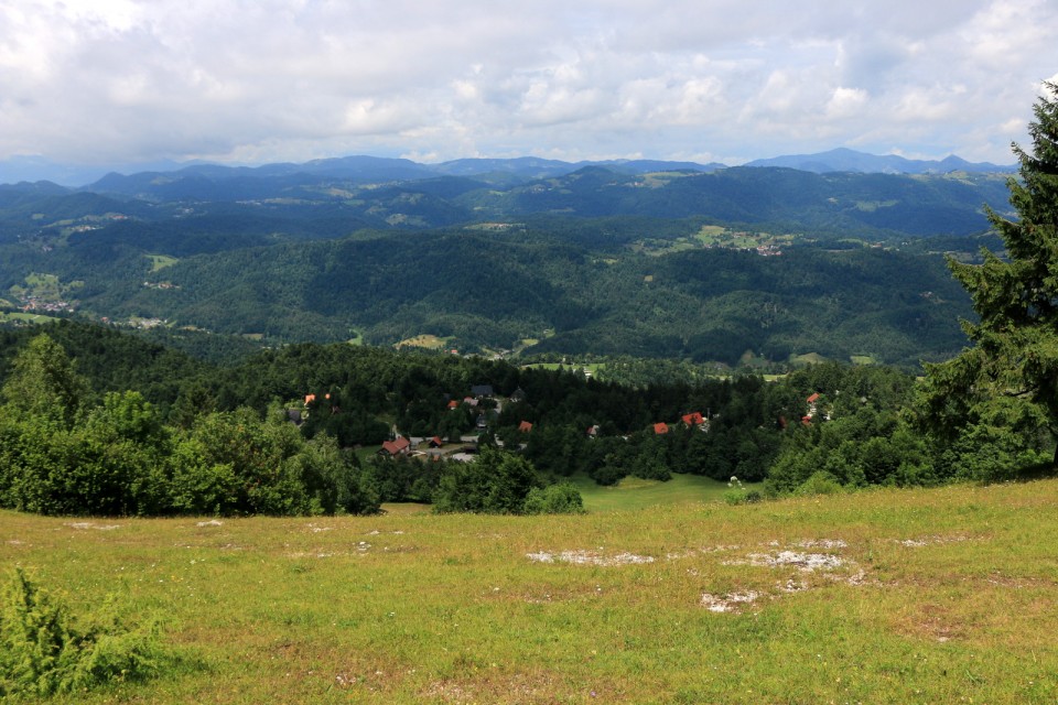 2019_06_23 Planina nad Vrhniko - foto povečava