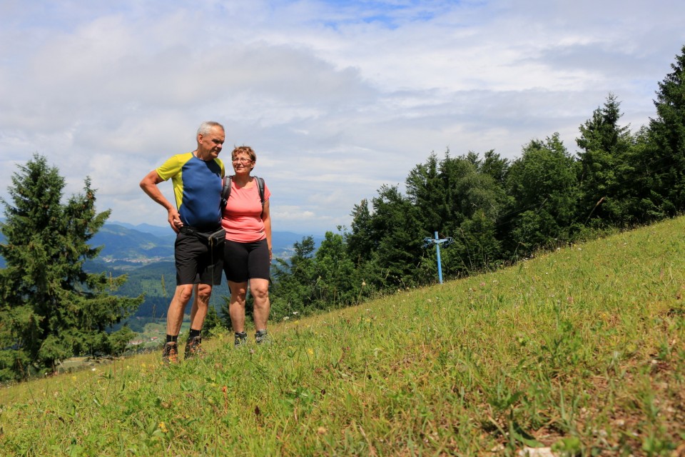 2019_06_23 Planina nad Vrhniko - foto povečava