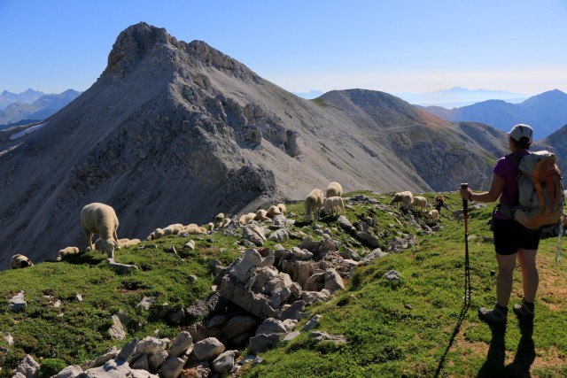 2019_06_30 Batognica in Krn - foto