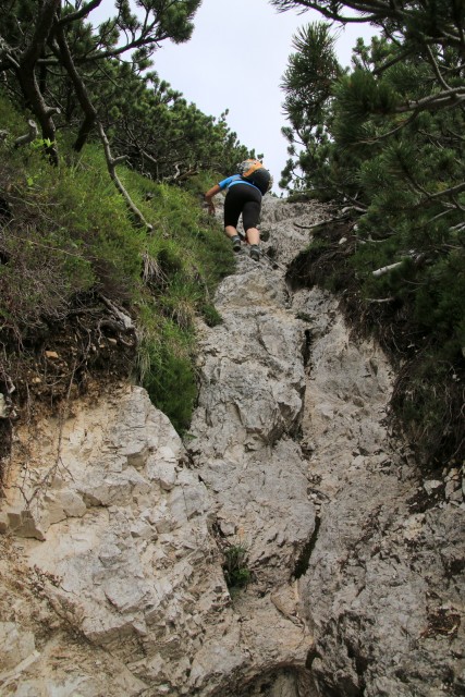 2019_07_14 Vetta Bella / Lepa glava - foto