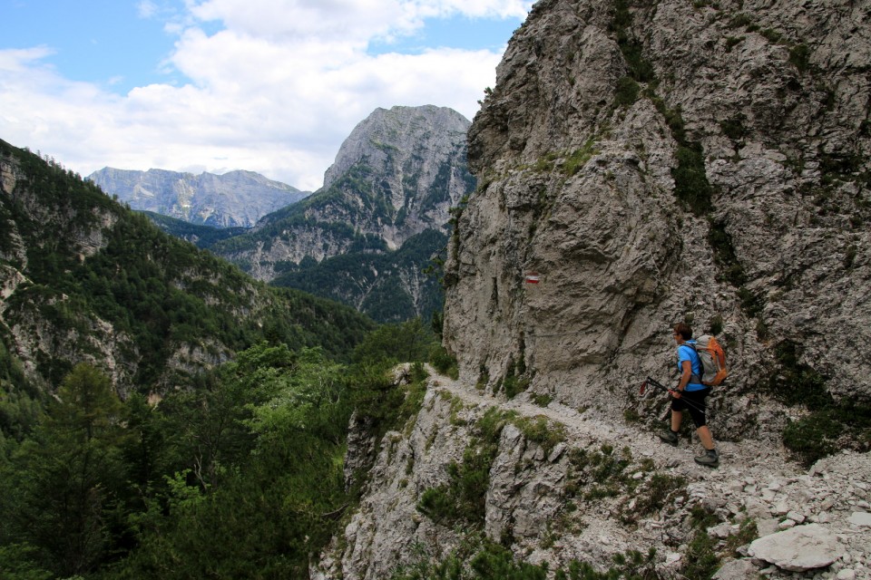 2019_07_14 Vetta Bella / Lepa glava - foto povečava