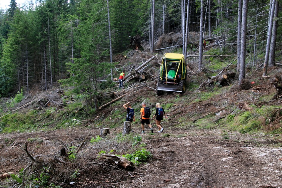 2019_07_30 Peca - Kordeževa glava - foto povečava