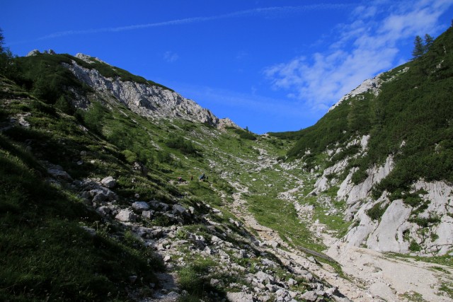 2019_08_06  Veliki Draški vrh, Viševnik - foto