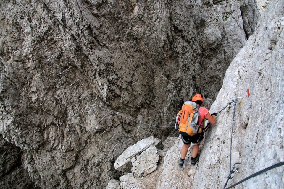 2019_08_15 Pot stoletnice Male bele špice - foto povečava