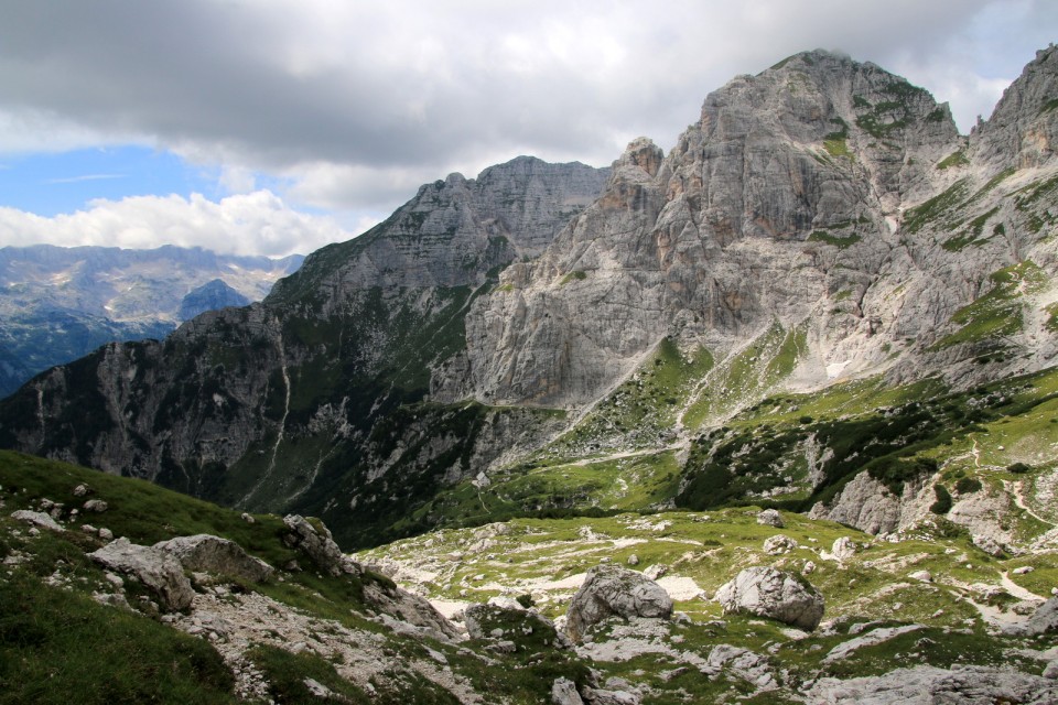 2019_08_15 Pot stoletnice Male bele špice - foto povečava