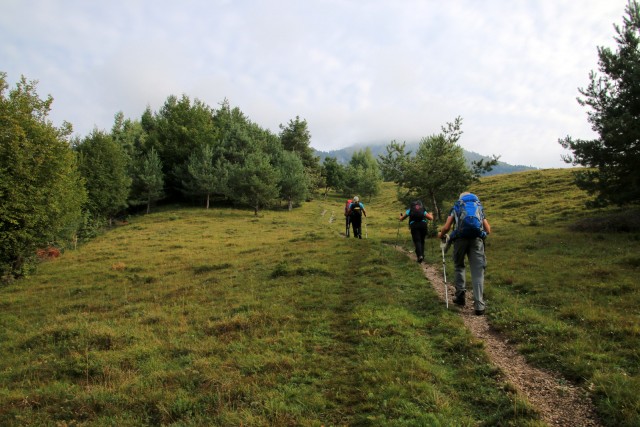 2019_09_17 Kamniški vrh ( 1259  )  - foto