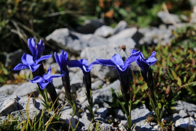 2019_09_21 Brana ( 2253 m )  - foto