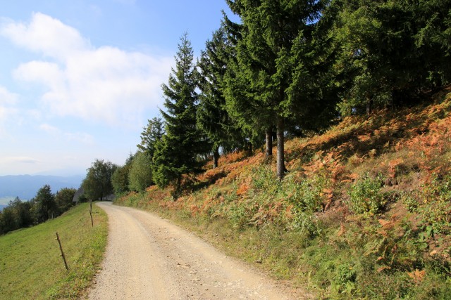 2019_10_01 Kremžarjev vrh ( 1164 m ) - foto