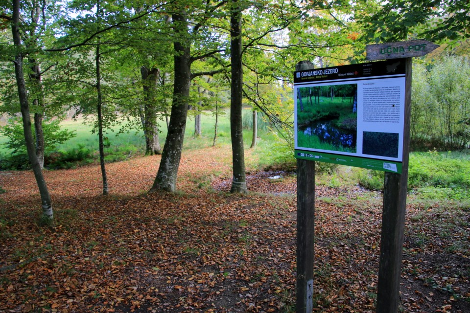 2019_10_06 Trdinov vrh ( 1176 m ) - foto povečava