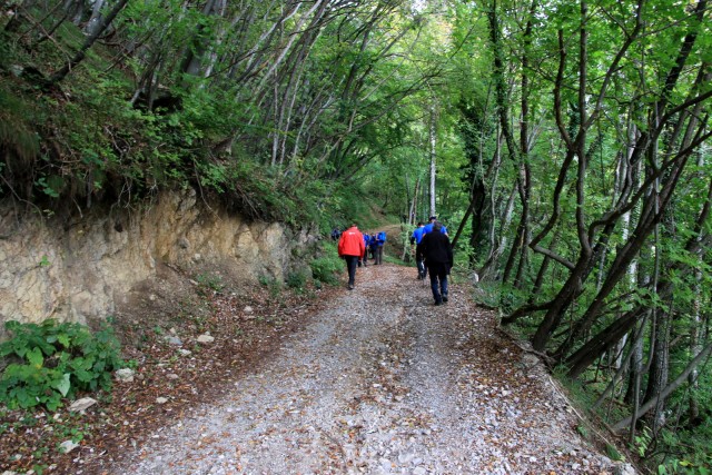 2019_10_07 2. pohod po poteh okoli Lisce 2019 - foto