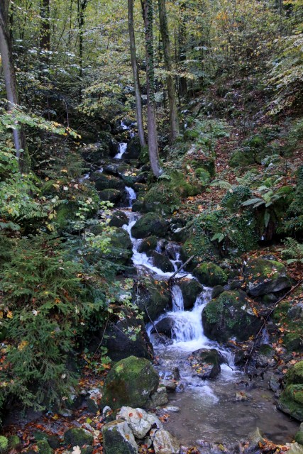 2019_10_16 potok Smeškovec - foto