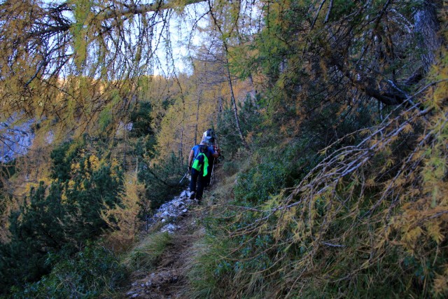 20109_10_22 Macesnovec ( 1926 m ) - foto