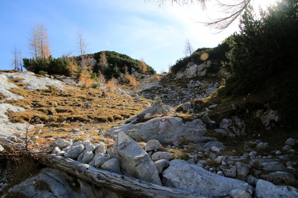 2019_10_25 Veliki Pršivec ( 2056 m )  - foto povečava