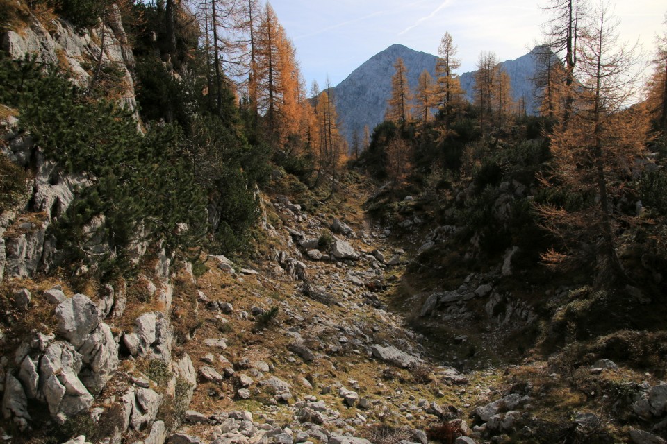 2019_10_25 Veliki Pršivec ( 2056 m )  - foto povečava