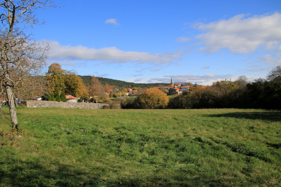 2019_11_10 Kokoš - Jirmanec ( 640 m ) - foto povečava