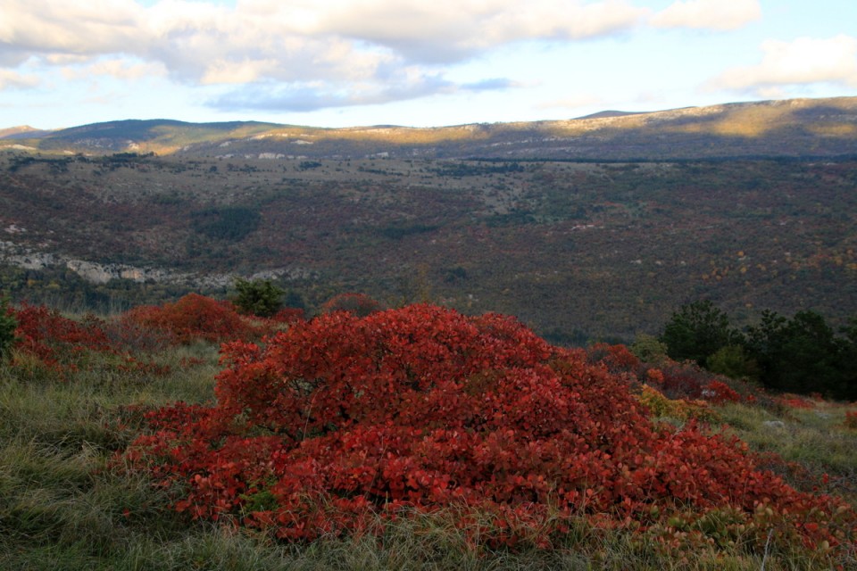 2019_11_10 Veli Badin - spodmoli - foto povečava