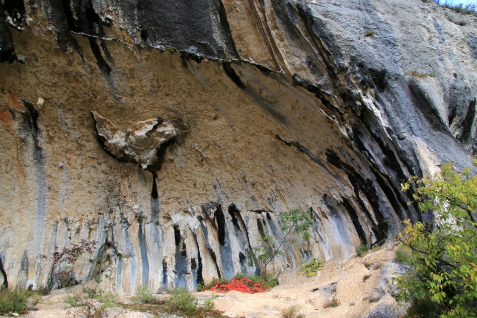 2019_11_10 Veli Badin - spodmoli - foto povečava