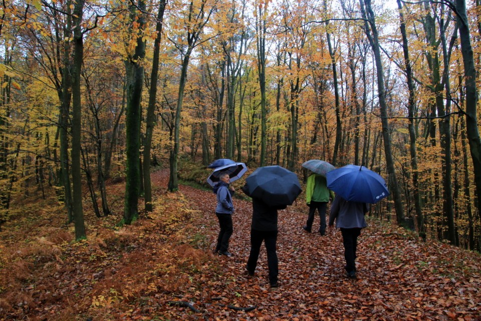 2019_11_12 Sevnica - Ledina - foto povečava