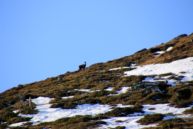 2019_11_30 Ladinger Spitz ( 2079 m )  - foto