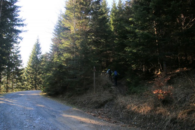 2019_11_03 sedlo pod Slatnerjem nad Kofcami - foto