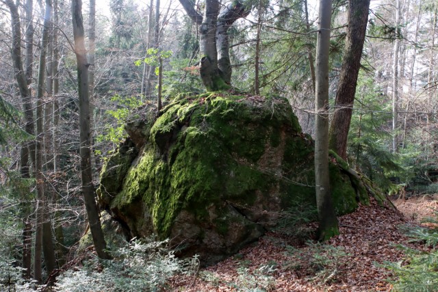 2019_12_17 Stolpnik ( 1012 m ) - foto