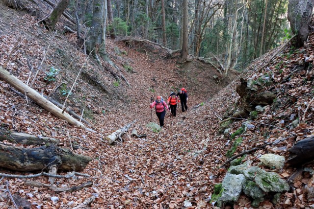 2019_12_26 Veliko Kozje - foto