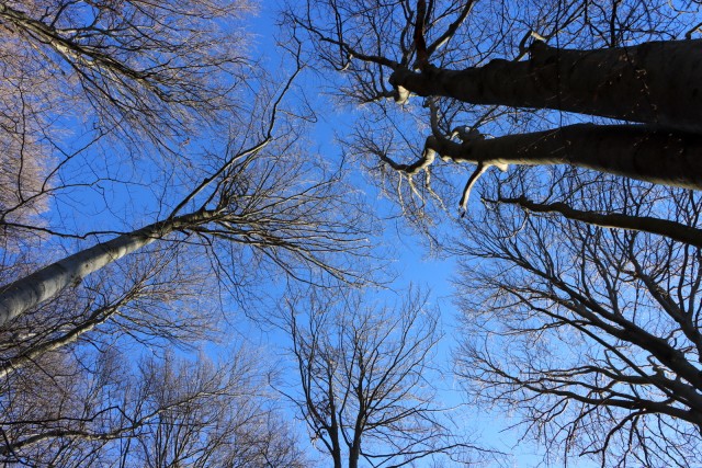 2019_12_26 Veliko Kozje - foto