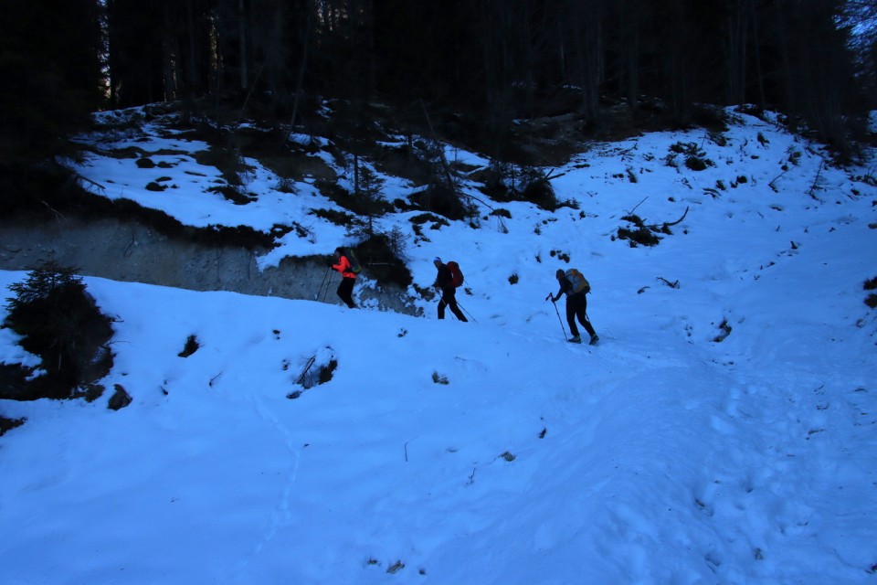 2020_01_12 planina Gajščica - sedlo Trupejevo - foto povečava